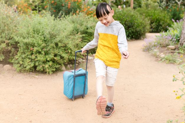 Young boy with a suitcase walking along a path