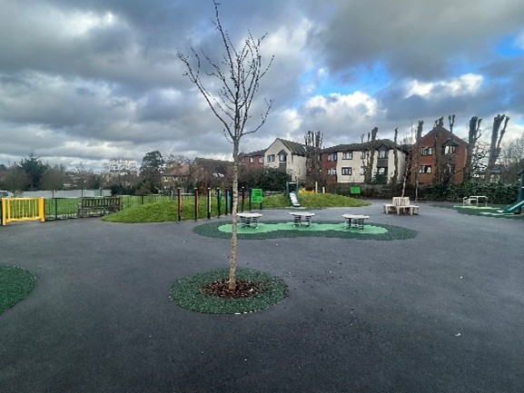 One Tree Hill, Mount Pleasant, open spaces, improvements 