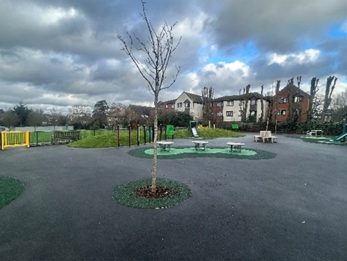 One Tree Hill, Mount Pleasant, open spaces, improvements